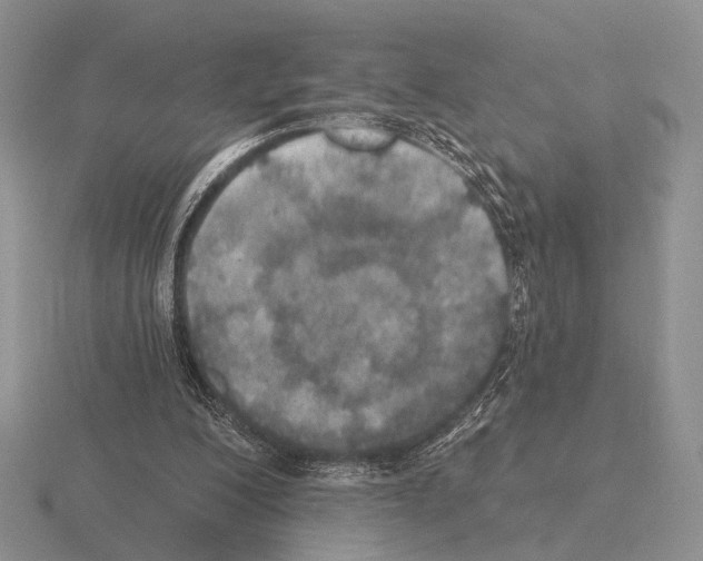 X0000115400200200912151527