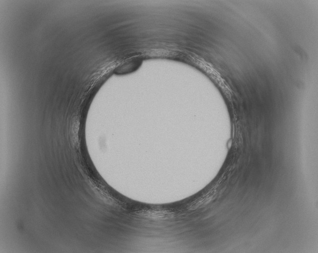 X0000115400201200912151527