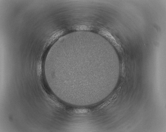 X0000115400202200912151527