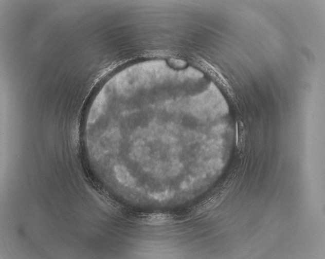 X0000115400204200912151527