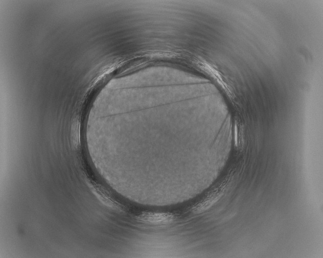 X0000115400205200912151527