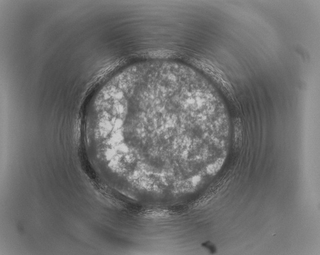 X0000115400206200912151527