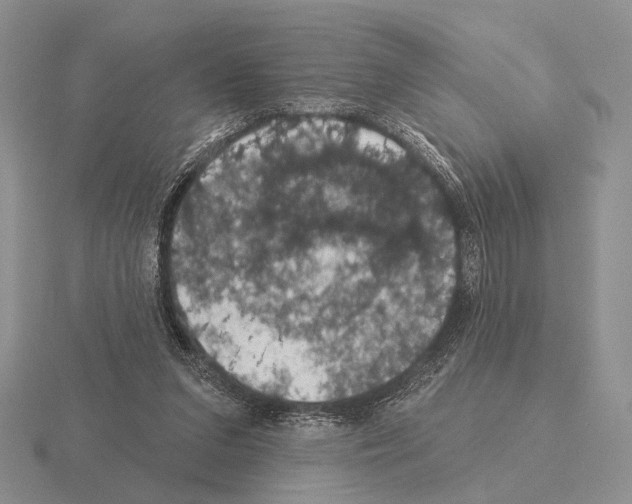 X0000115400207200912151527