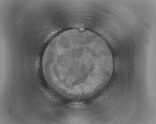 X0000115400208200912151527