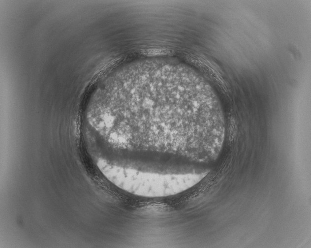 X0000115400210200912151527