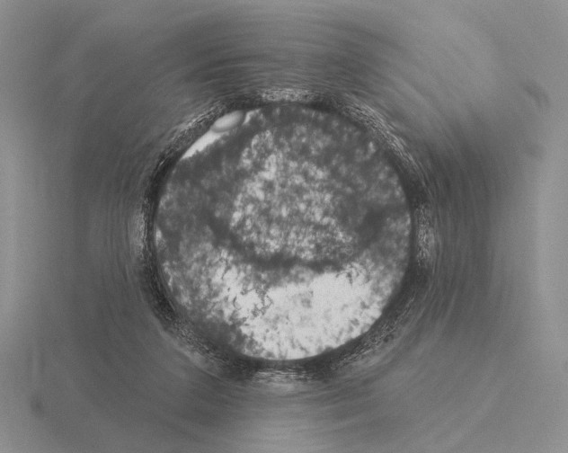 X0000115400211200912151527