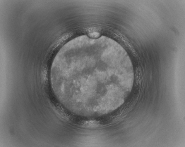 X0000115400212200912151527