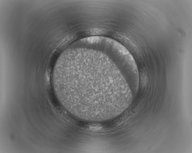 X0000115400214200912151527