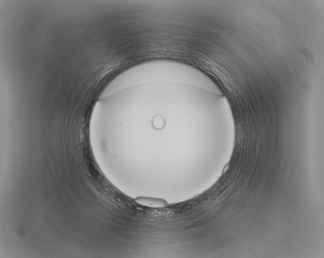 X0000115400215200912151527