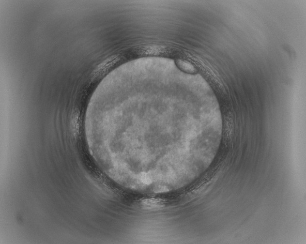 X0000115400216200912151527