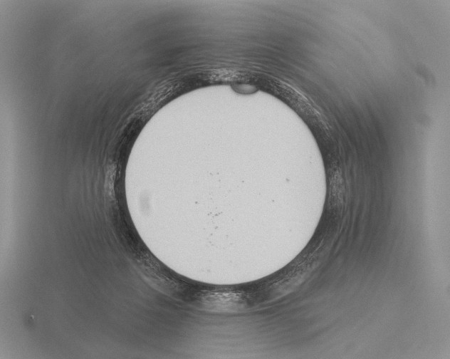 X0000115400217200912151527