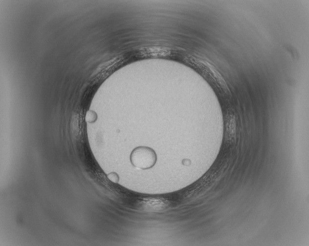 X0000115400218200912151527