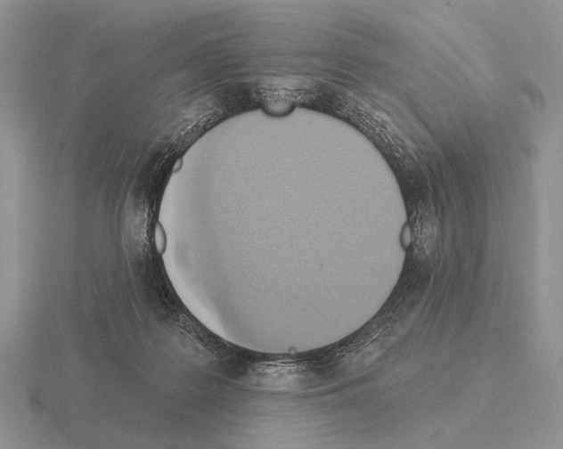 X0000115400219200912151527