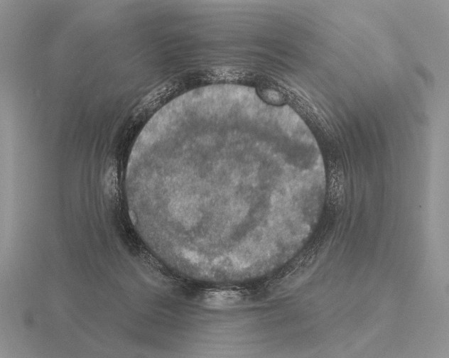 X0000115400220200912151527