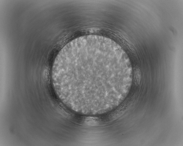 X0000115400222200912151527