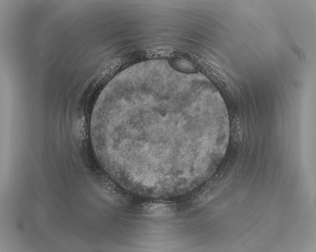 X0000115400224200912151527