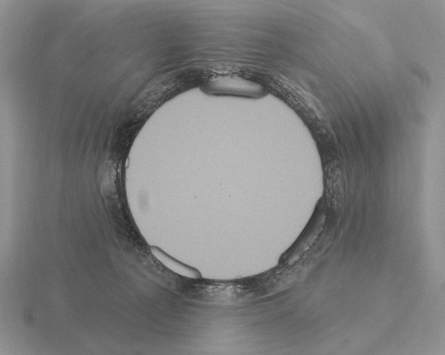 X0000115400225200912151527