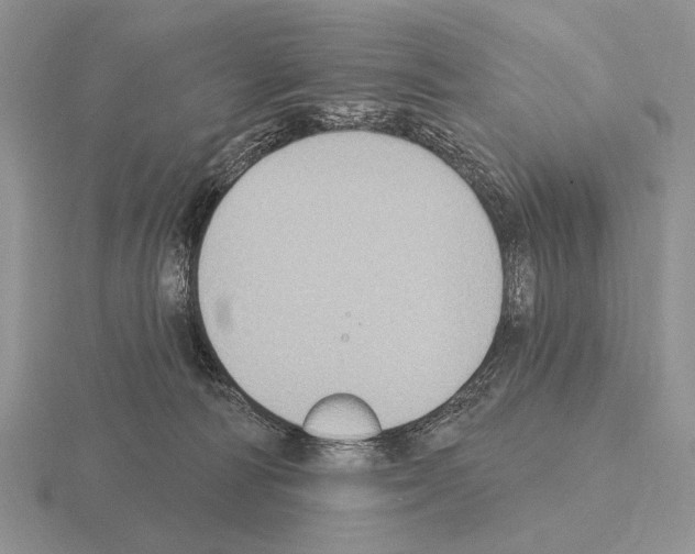 X0000115400226200912151527