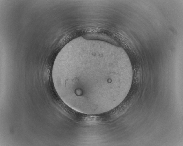 X0000115400227200912151527