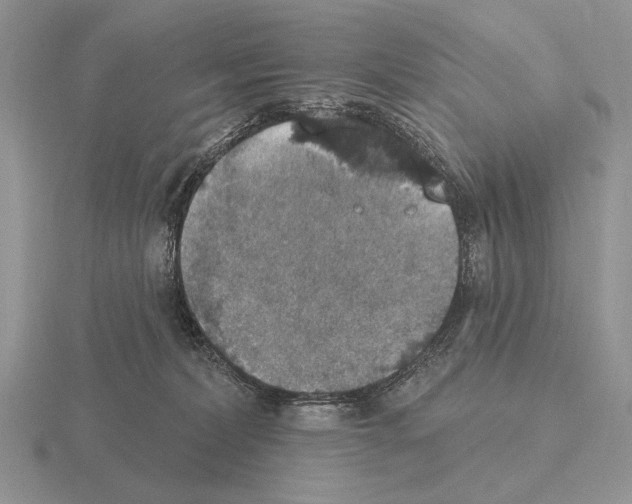 X0000115400228200912151527