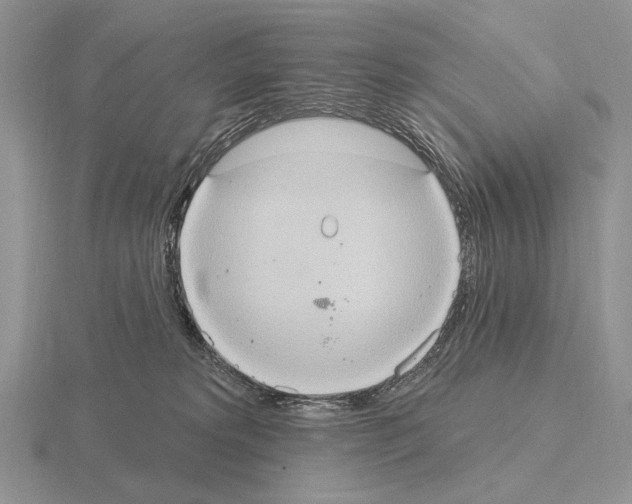 X0000115400229200912151527