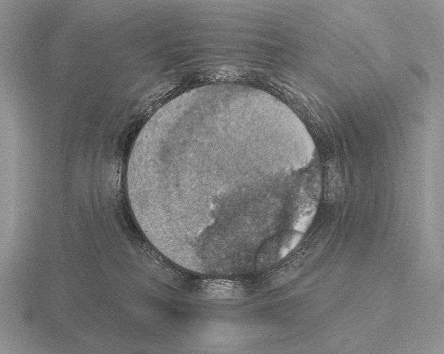 X0000115400230200912151527