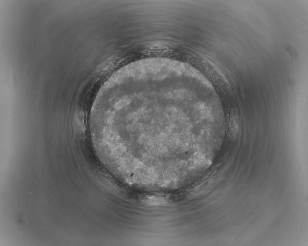 X0000115400232200912151527