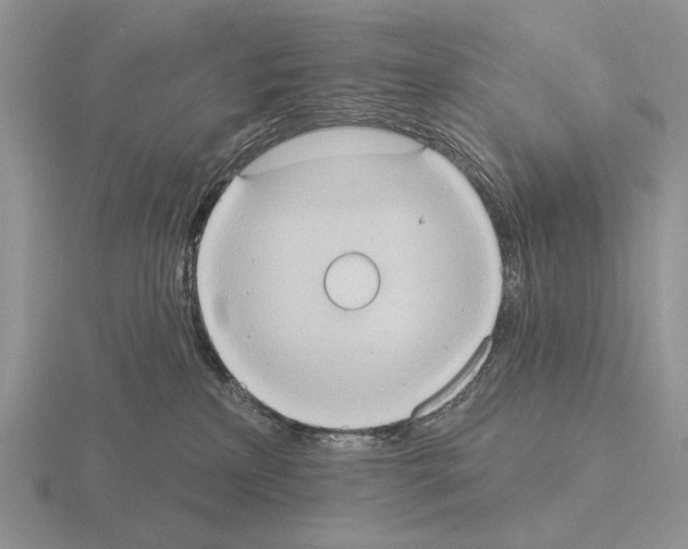 X0000115400233200912151527