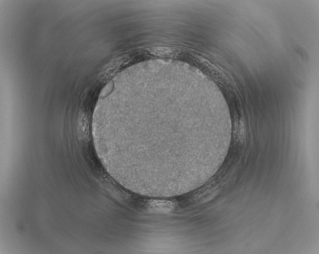 X0000115400234200912151527