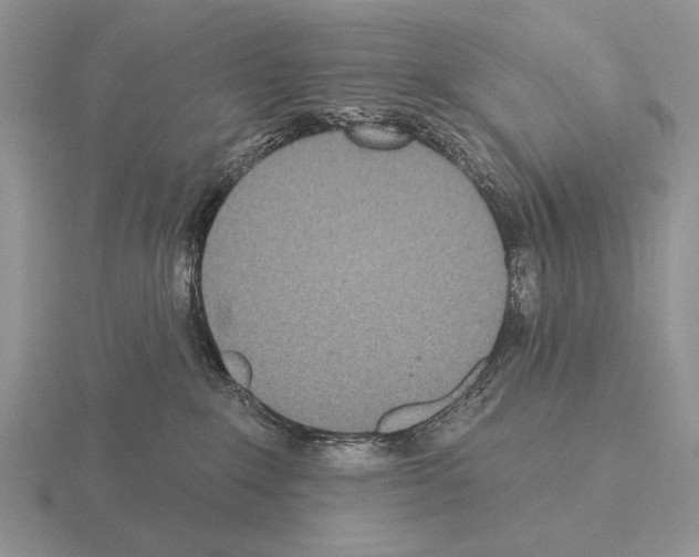 X0000115400235200912151527