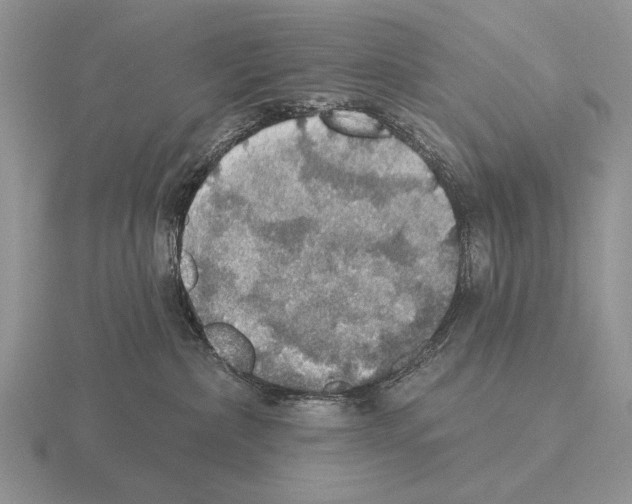 X0000115400236200912151527