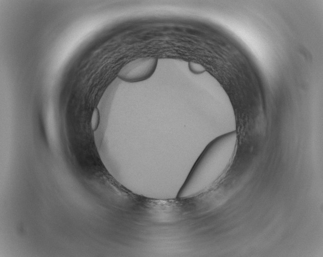 X0000115400239200912151527