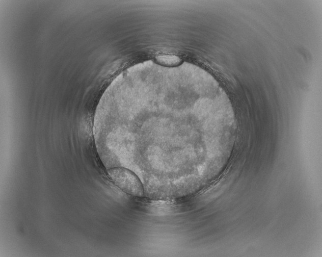 X0000115400240200912151527