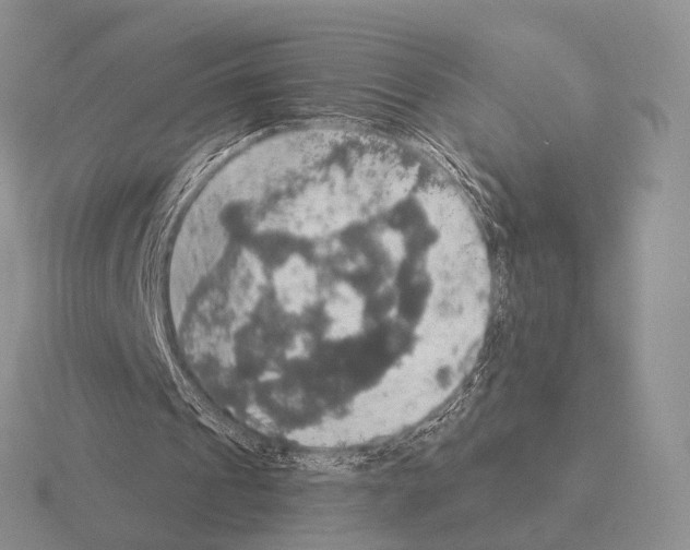 X0000115400241200912151526