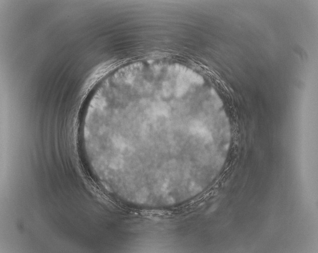 X0000115400242200912151526