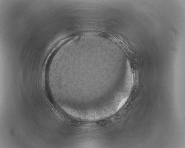 X0000115400243200912151526