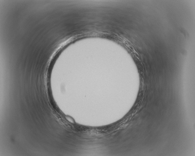 X0000115400244200912151526