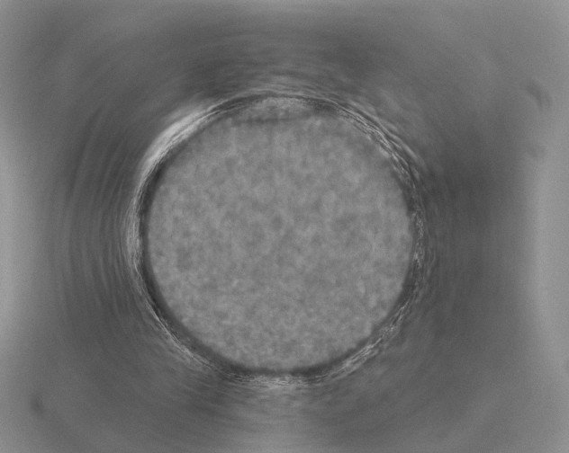 X0000115400245200912151526