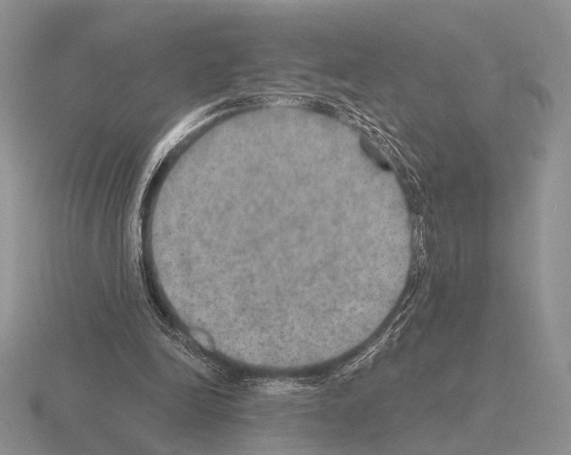 X0000115400246200912151526