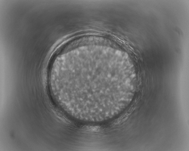 X0000115400247200912151526