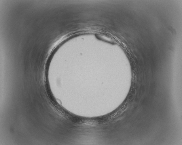 X0000115400248200912151526