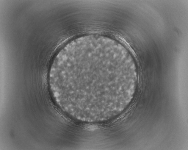 X0000115400249200912151526