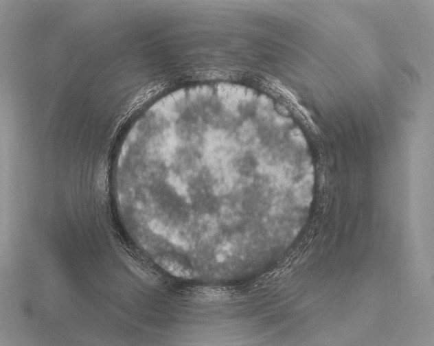 X0000115400250200912151526