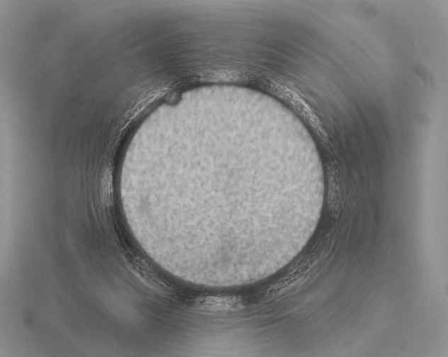 X0000115400251200912151526