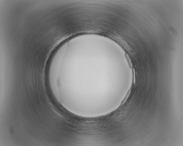 X0000115400252200912151526