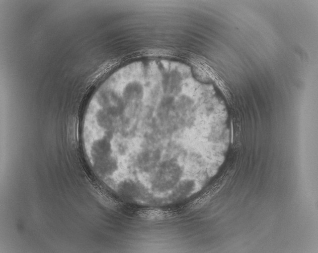 X0000115400253200912151526