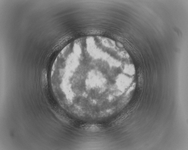 X0000115400254200912151526