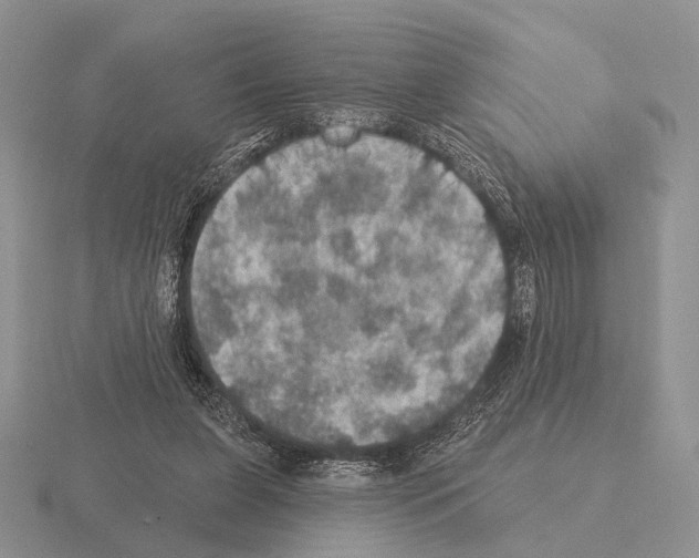 X0000115400255200912151526