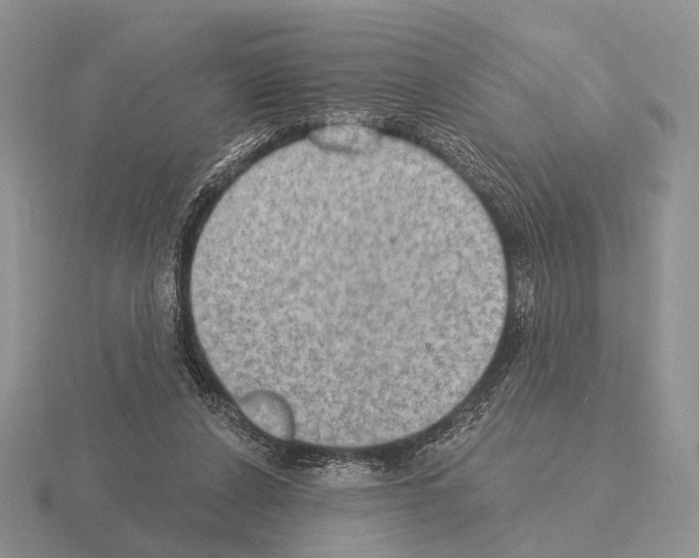 X0000115400256200912151526