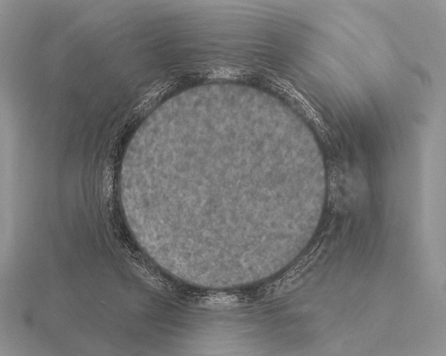 X0000115400257200912151526